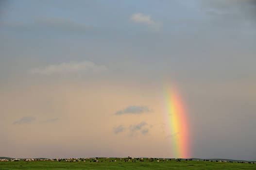 Ogii, Mongolia