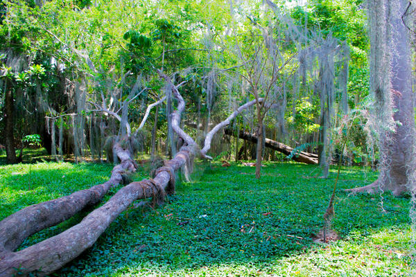 Parque Gallineral - Colombia