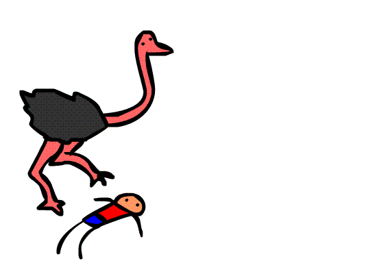 Ostrich Animation Ostrich Animated Gif