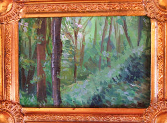 Plein air forest view 4