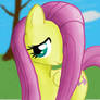 Fluttershy Complete