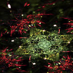 Christmas by lucid-light
