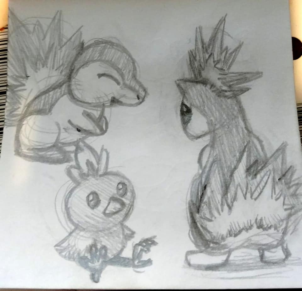 Pokemon Stack Drawing Pokemon starter sketches by No-LuckDuck on DeviantArt