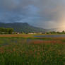 Salmon Arm