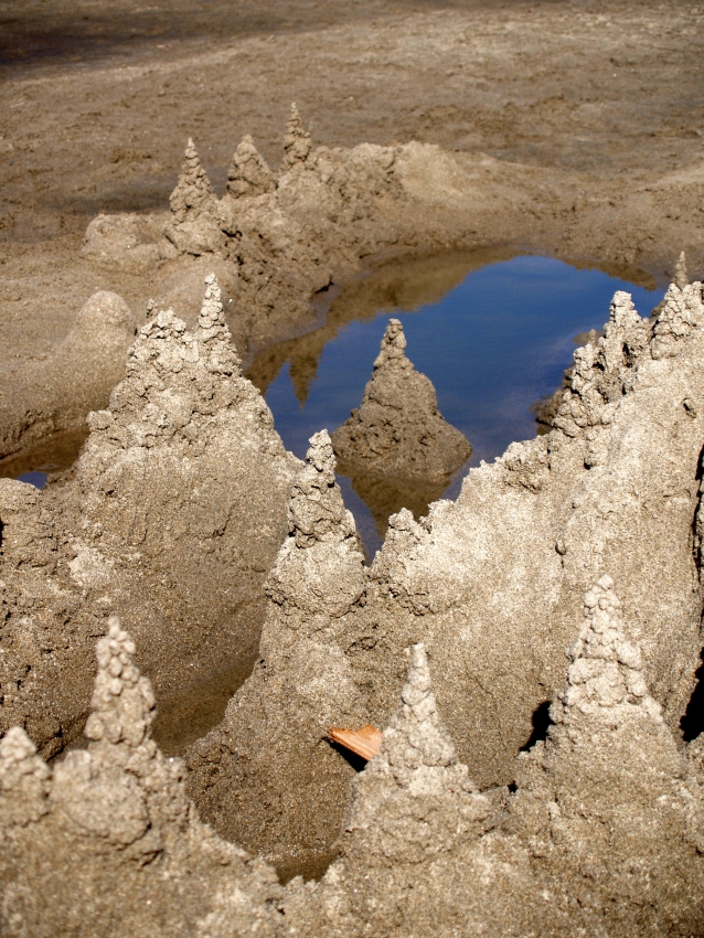 Sandcastle reflexions