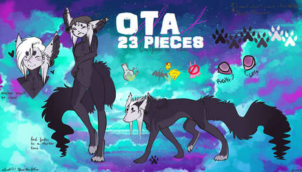 SONA FOR SALE [OTA] 23 PIECES