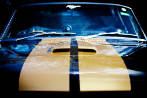 Mustang Magic-Shelby Limited Edition Replica
