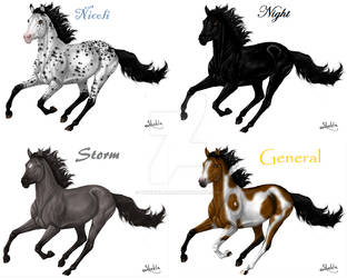 Stallion Adoptables and Stud Lease - OPEN