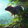 Giant rat in a tropical forest