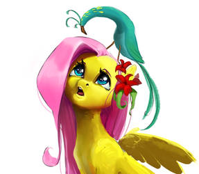 Fluttershy exotic bird