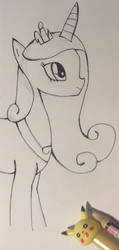 Princess Cadence