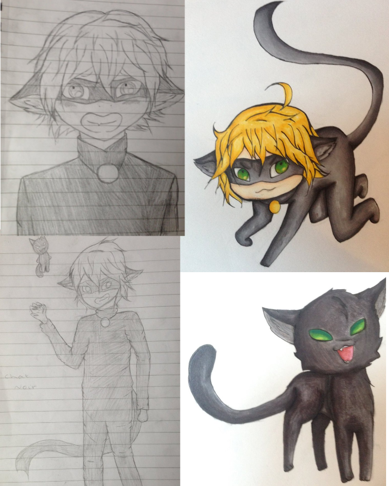 Traditional Chat Noir dump!