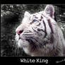 White King