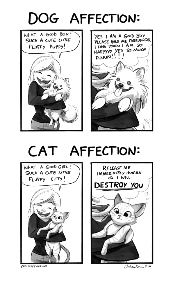 Dog Affection vs Cat Affection by autogatos