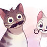 Catstaches