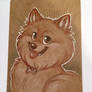 Pomeranian ECCC Sketch