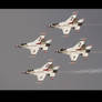 Nellis Thunderbirds 2008 2