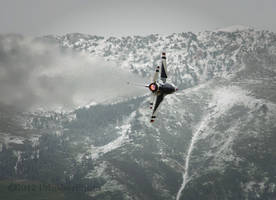 2012 Thunderbird Solo