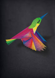 Rainbow Hummingbird