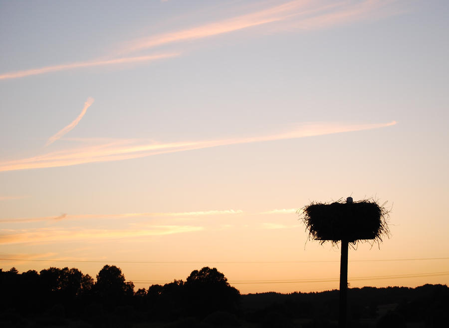 bocki by Sawer77 on DeviantArt