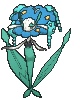 Blue Florges
