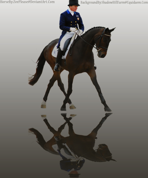 Bay Horse Dressage Graphic