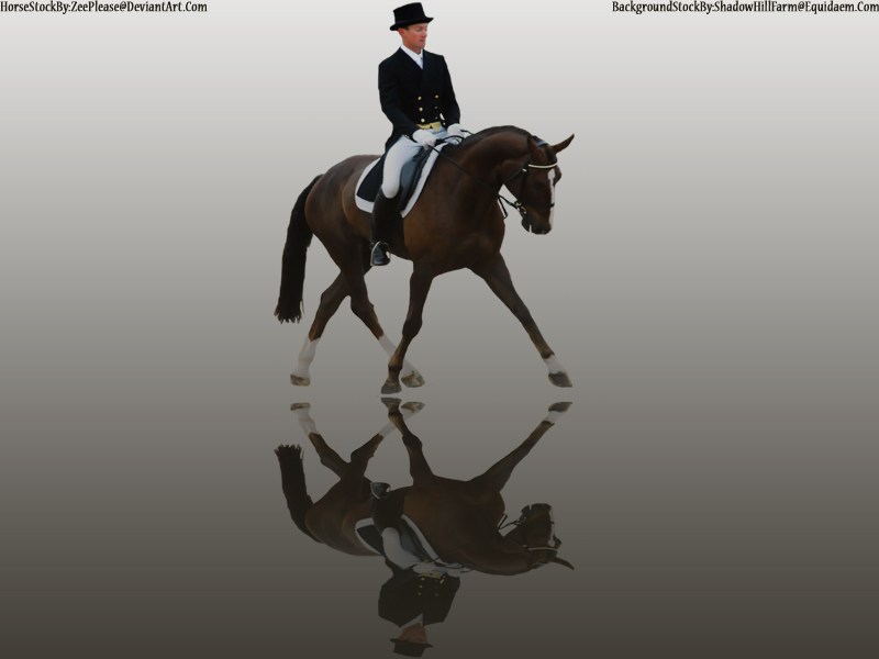 Chestnut Horse Dressage Graph.