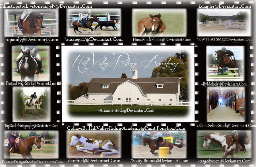 Hill Valley Riding Academy Collage