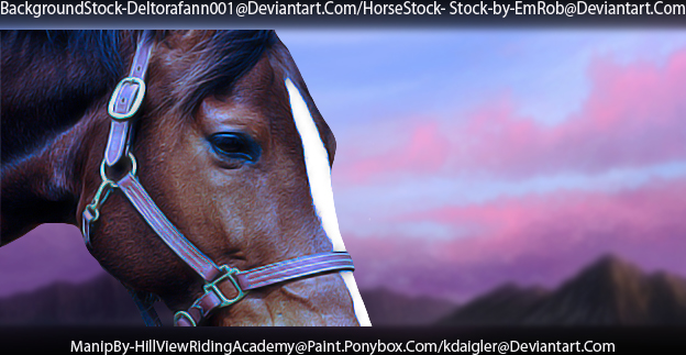 Purple Sky Horse Picture