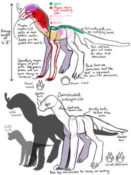 Vulcator Species Info + Body Type Anatomy