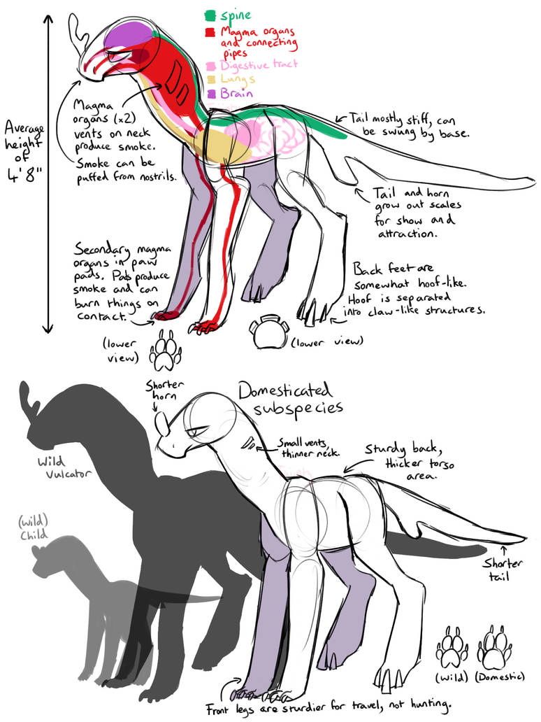 Vulcator Species Info + Body Type Anatomy by ThisAccountIsDead462