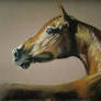 My sister's horse pastels .