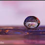 Universal Droplet