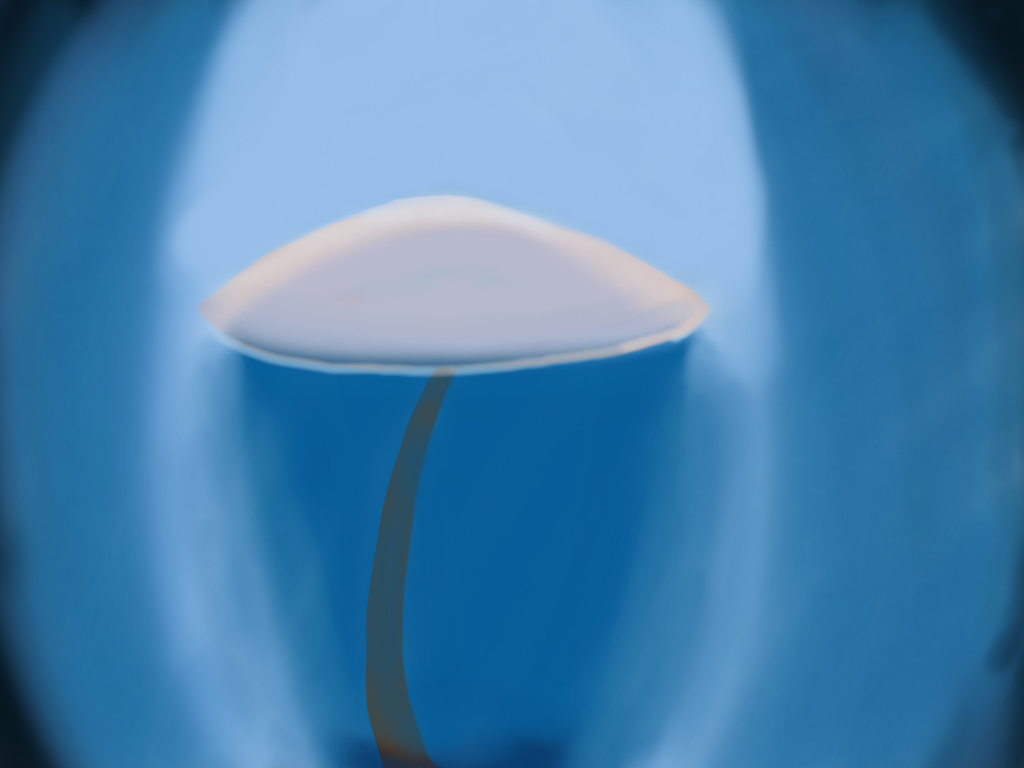 Moonlight Mushroom