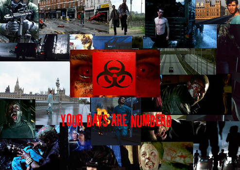 28 DAYS LATER numberd days