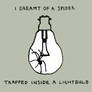 a spider trapped inside a lightbulb