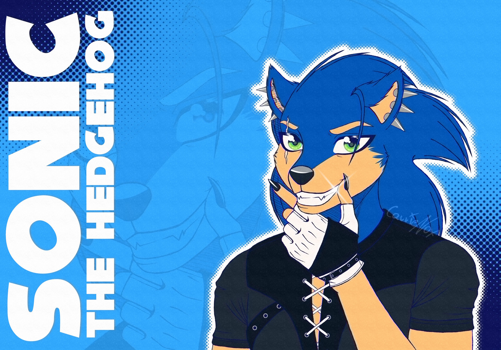 ..::Sonic the Hedgehog::..