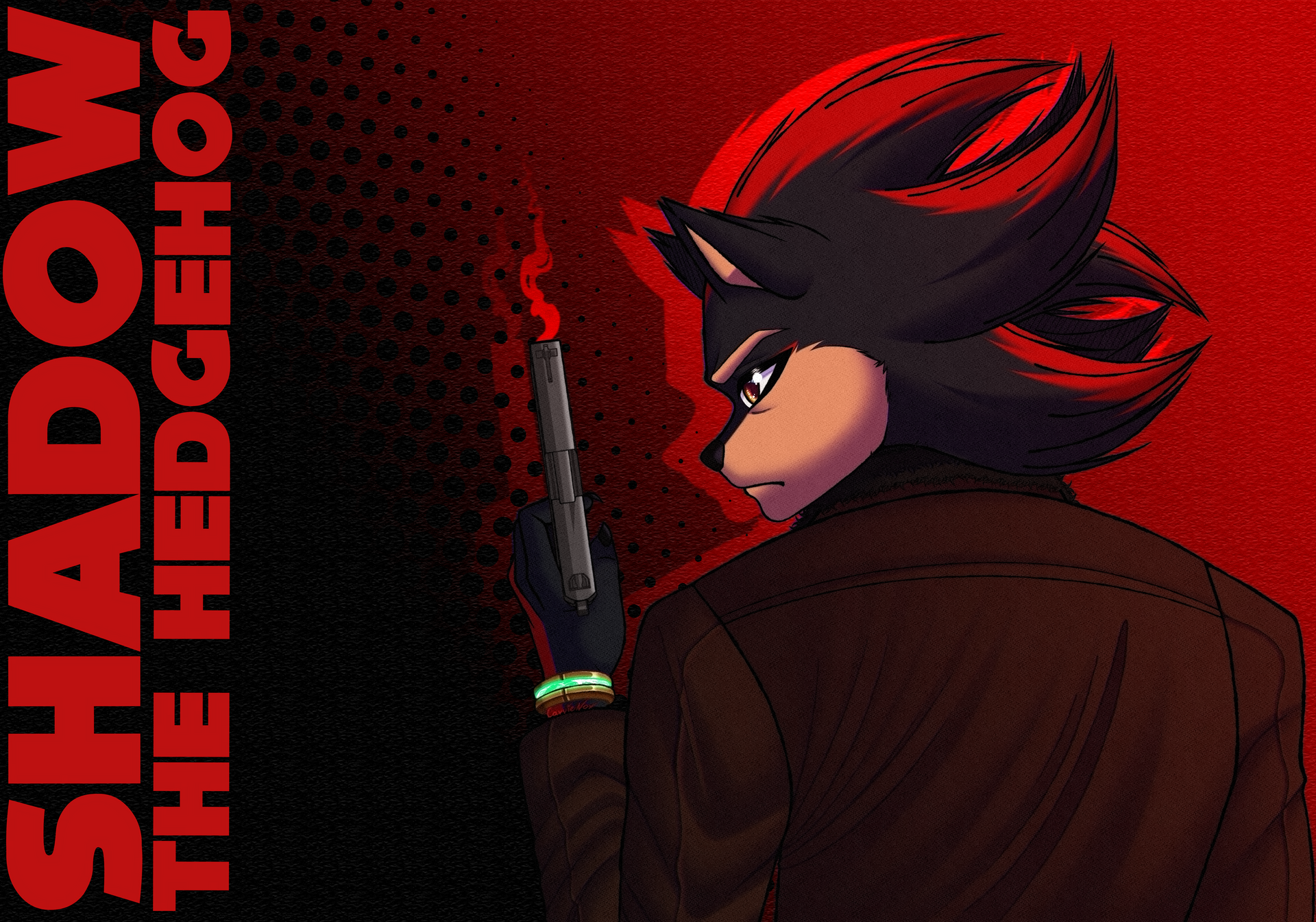 ..::Shadow the Hedgehog::..