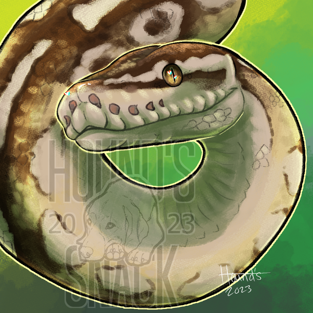 Python by HoundsSnack on DeviantArt