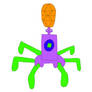 Bacteriophage