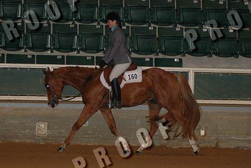 Old Horse Show Pic! Hunter Under Saddle Class