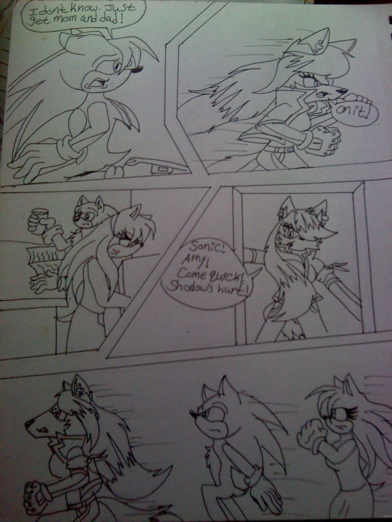 Midnight Rescue Character The Midnight Rescue Page 2 by MatakietheHedgewolf on DeviantArt