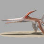 Pteranodon longiceps take off