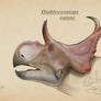 Diabloceratops eatoni