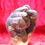 coin hand