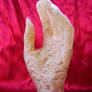 fish hand 1