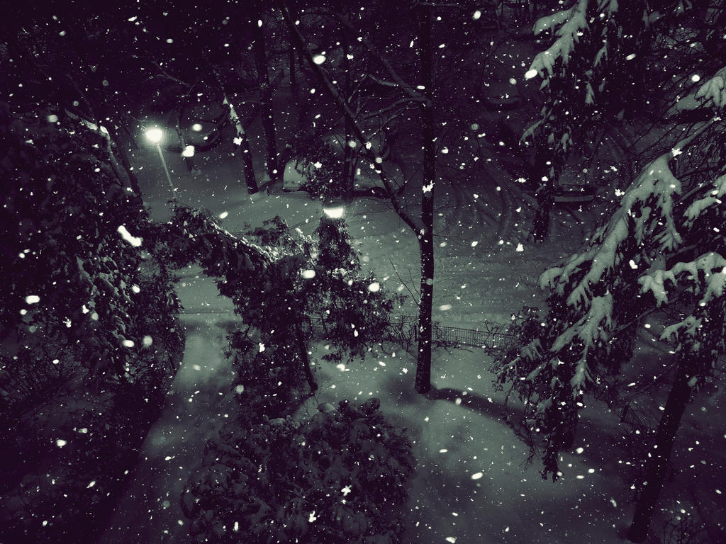 First real snow by chidori77 on DeviantArt