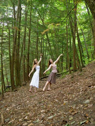 Forest Dance