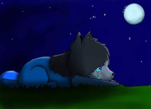 Sad, little wolfieboy :c