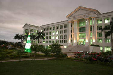 DLSC Christmas at Night